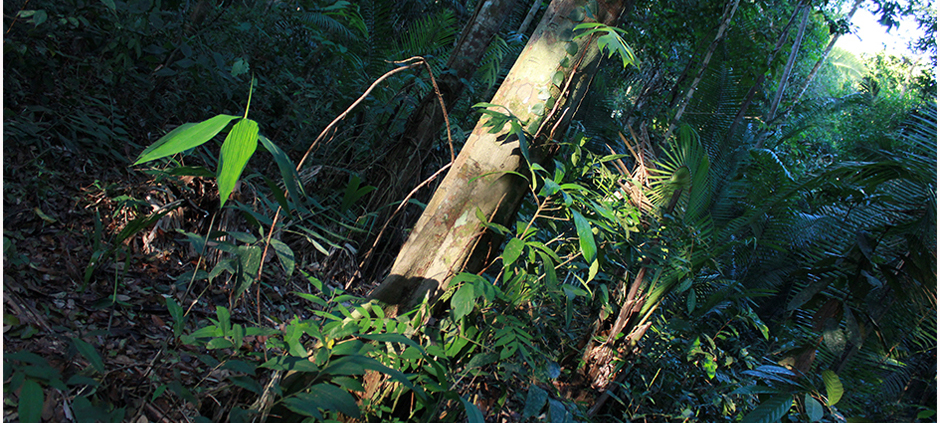 Al di la della paura