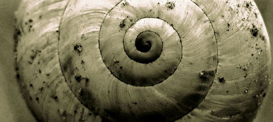 Perfezione nell'imperfezione