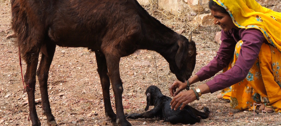 L'urlo della nascita